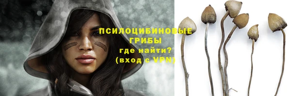 бошки Абаза