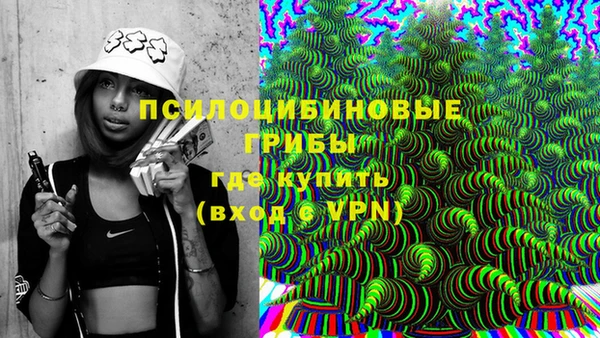 бошки Абаза
